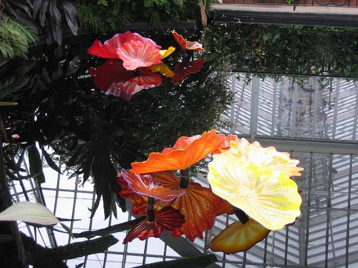 IMG_5751 Dale Chihuly art at Pittsburgh Phipps Conservatory.jpg